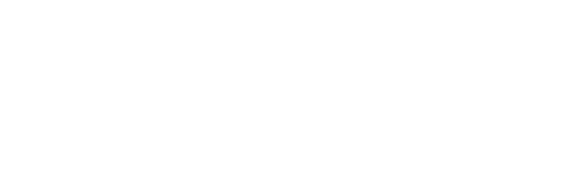 Vebego